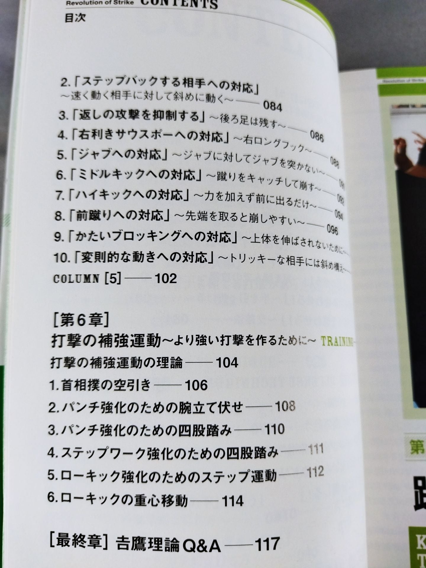 【DVD付】吉鷹弘の打撃革命 間違いだらけの打撃常識に喝!