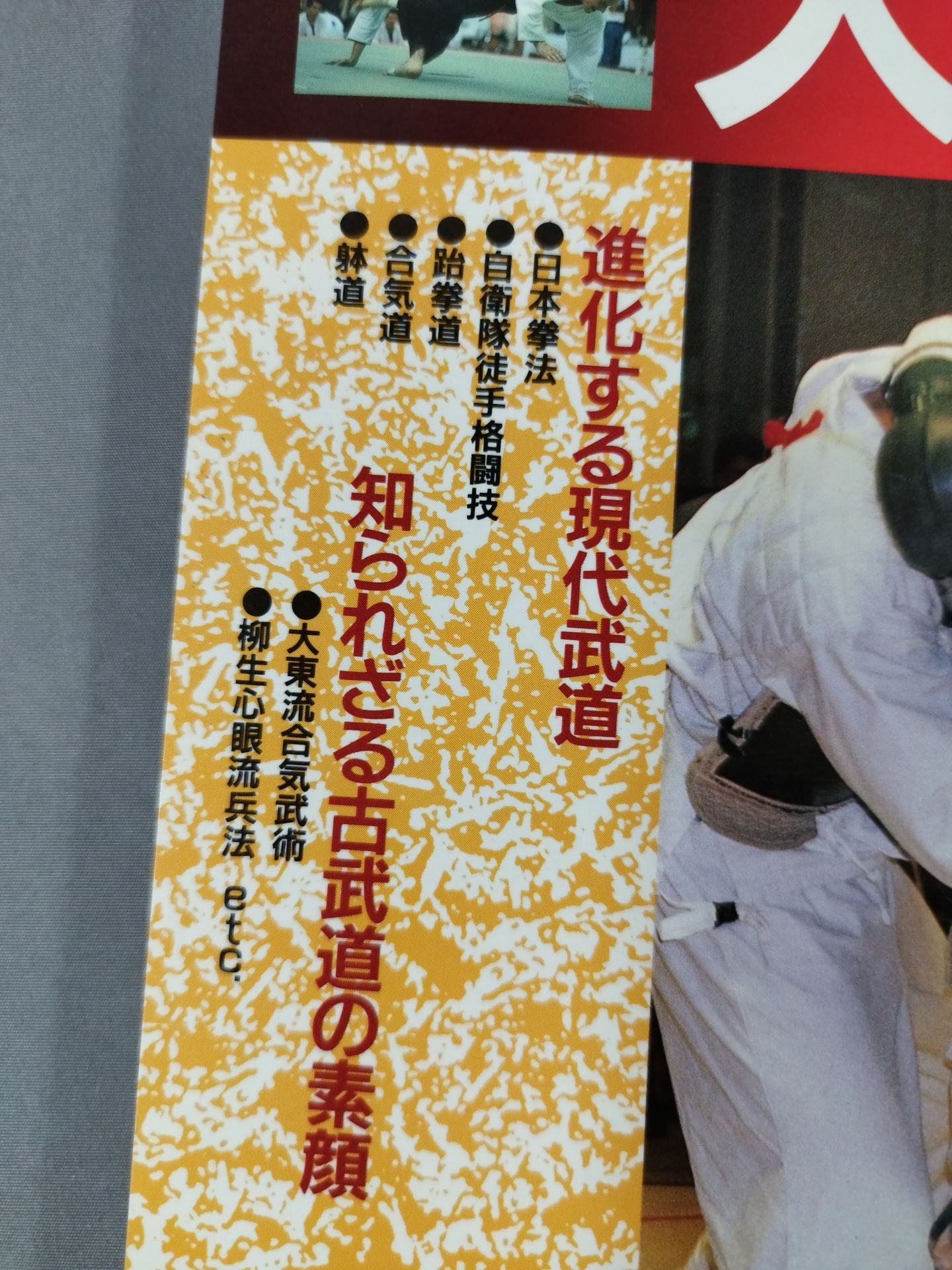 武道＆格闘技大図鑑