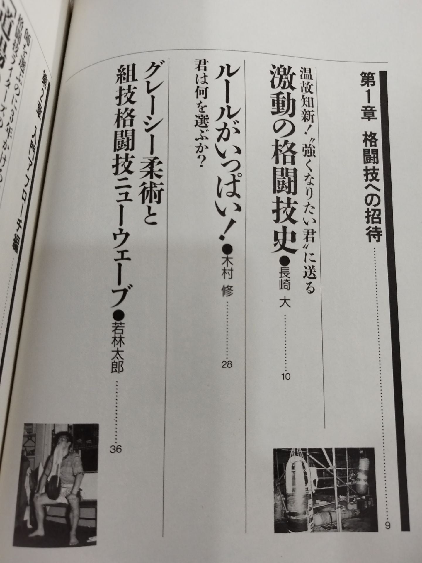 Fighting King 1 Martial Arts Introductory Reader