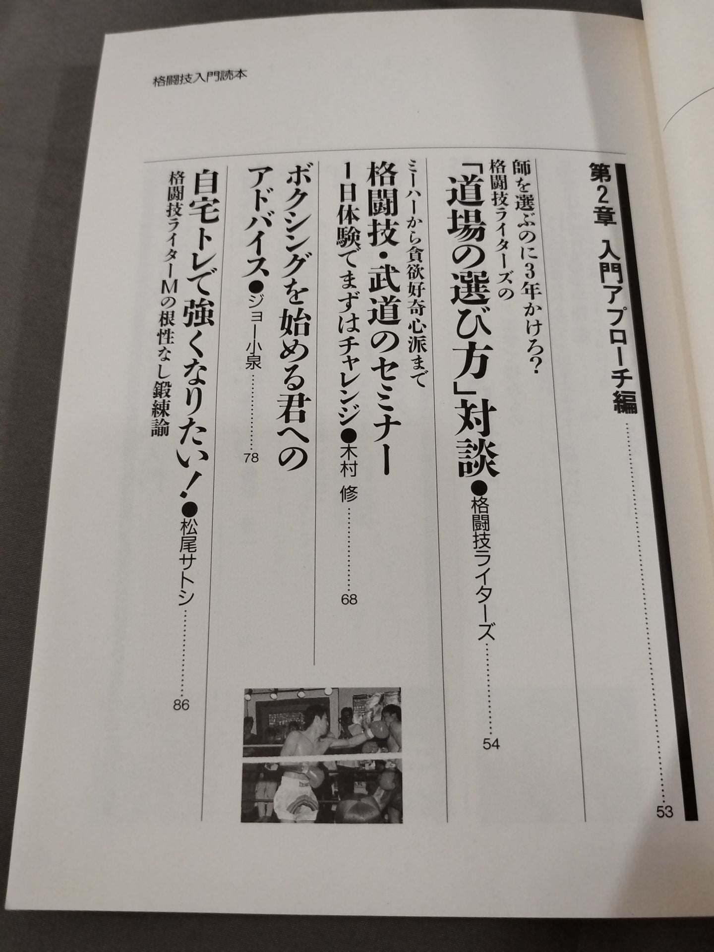 Fighting King 1 Martial Arts Introductory Reader