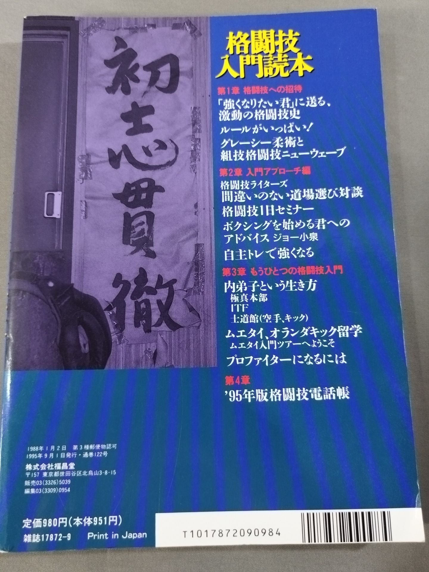 Fighting King 1 Martial Arts Introductory Reader