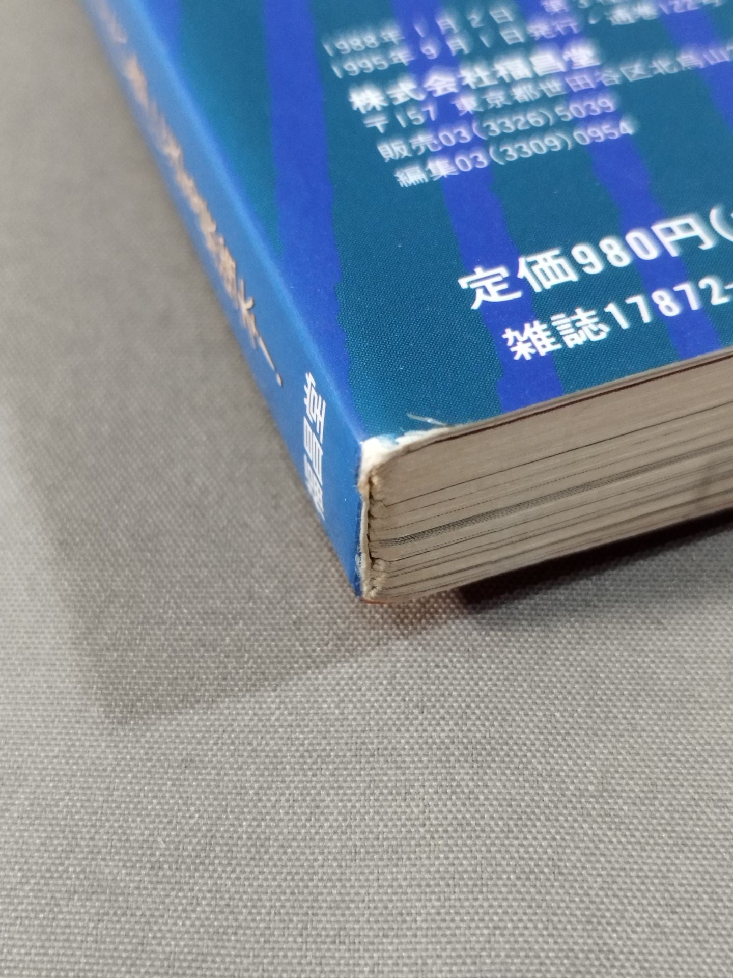 Fighting King 1 Martial Arts Introductory Reader