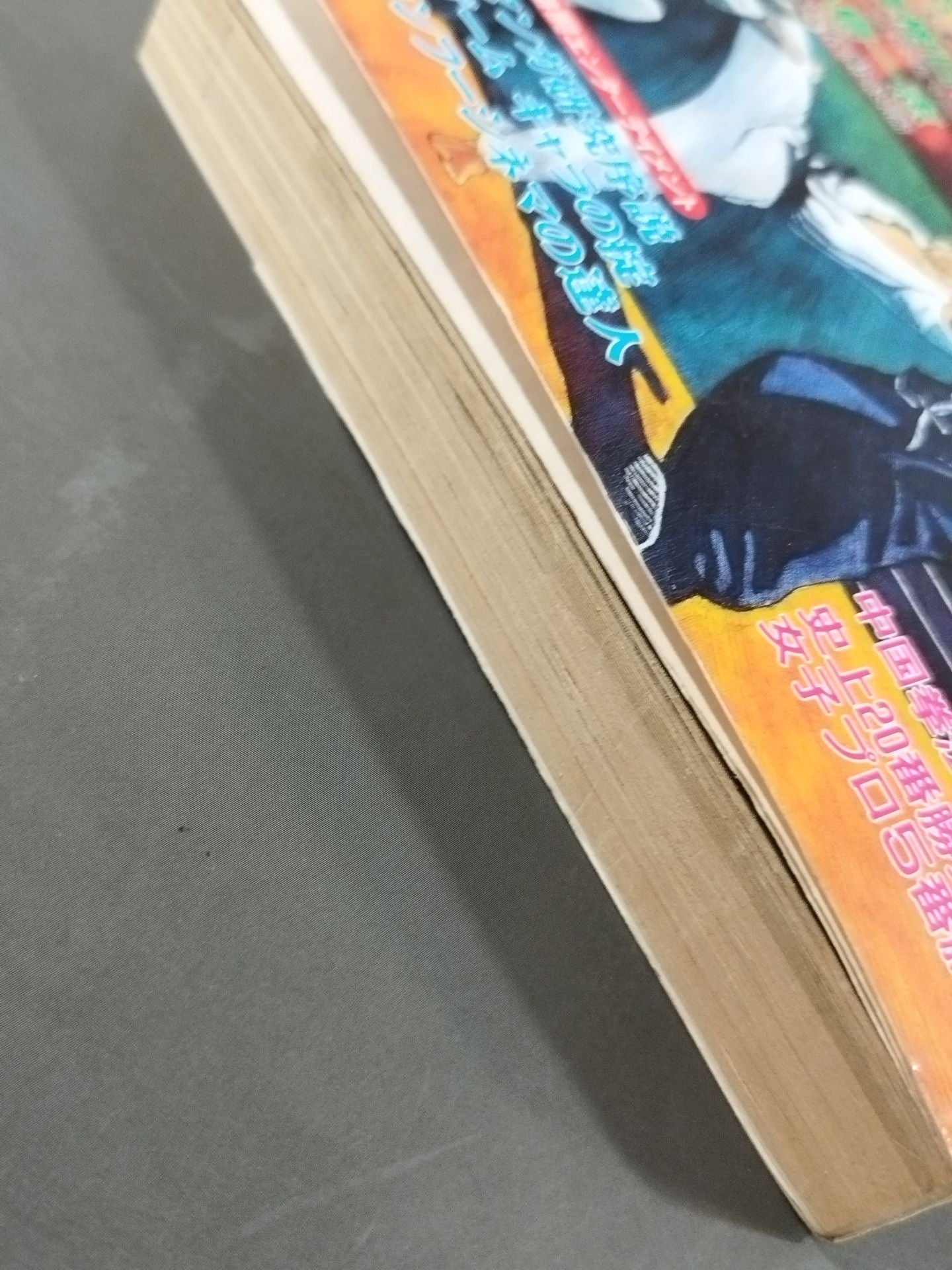 Master of Fighting History Reader Special 53