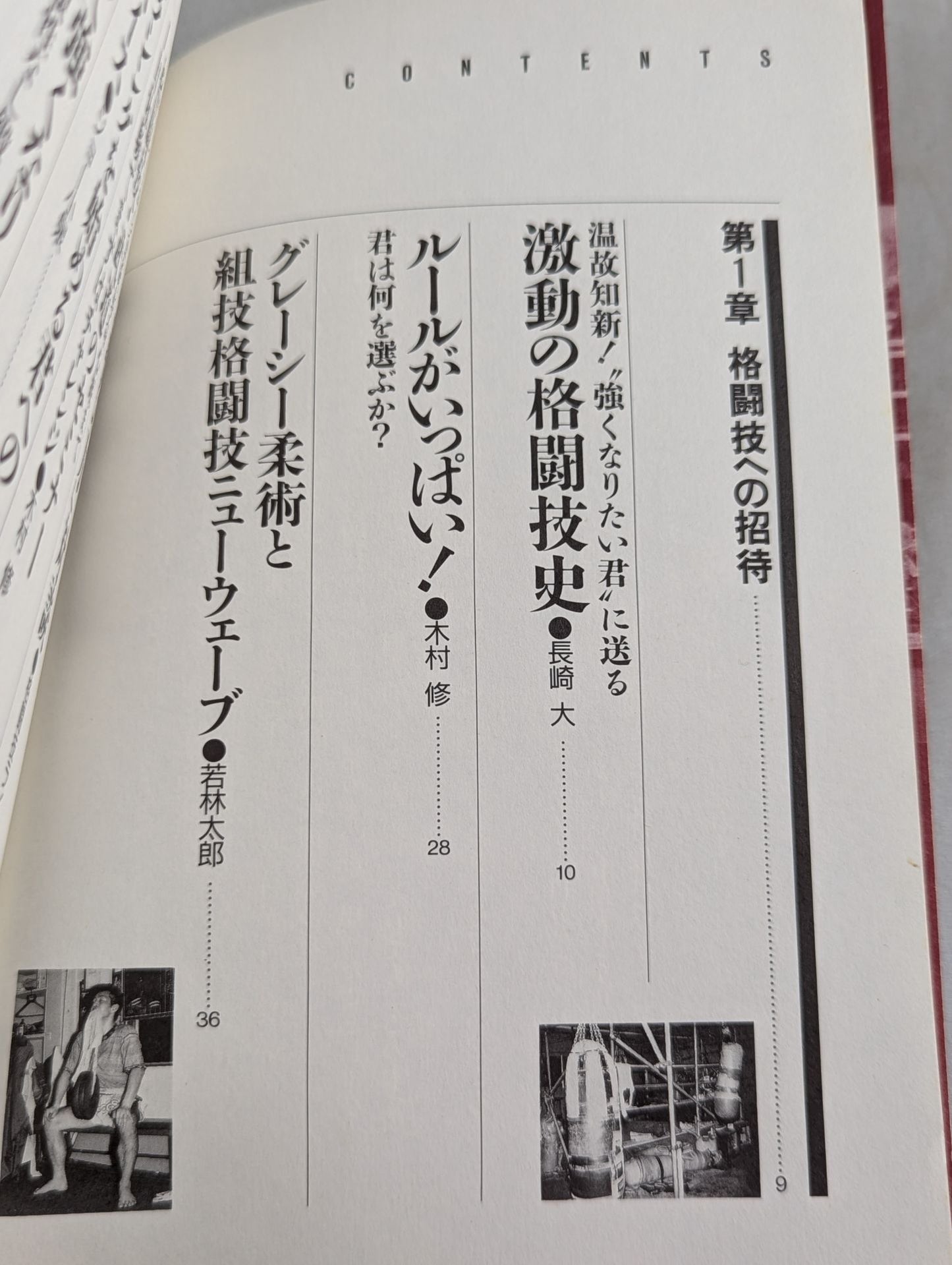 Fighting King 1 Martial Arts Introductory Reader