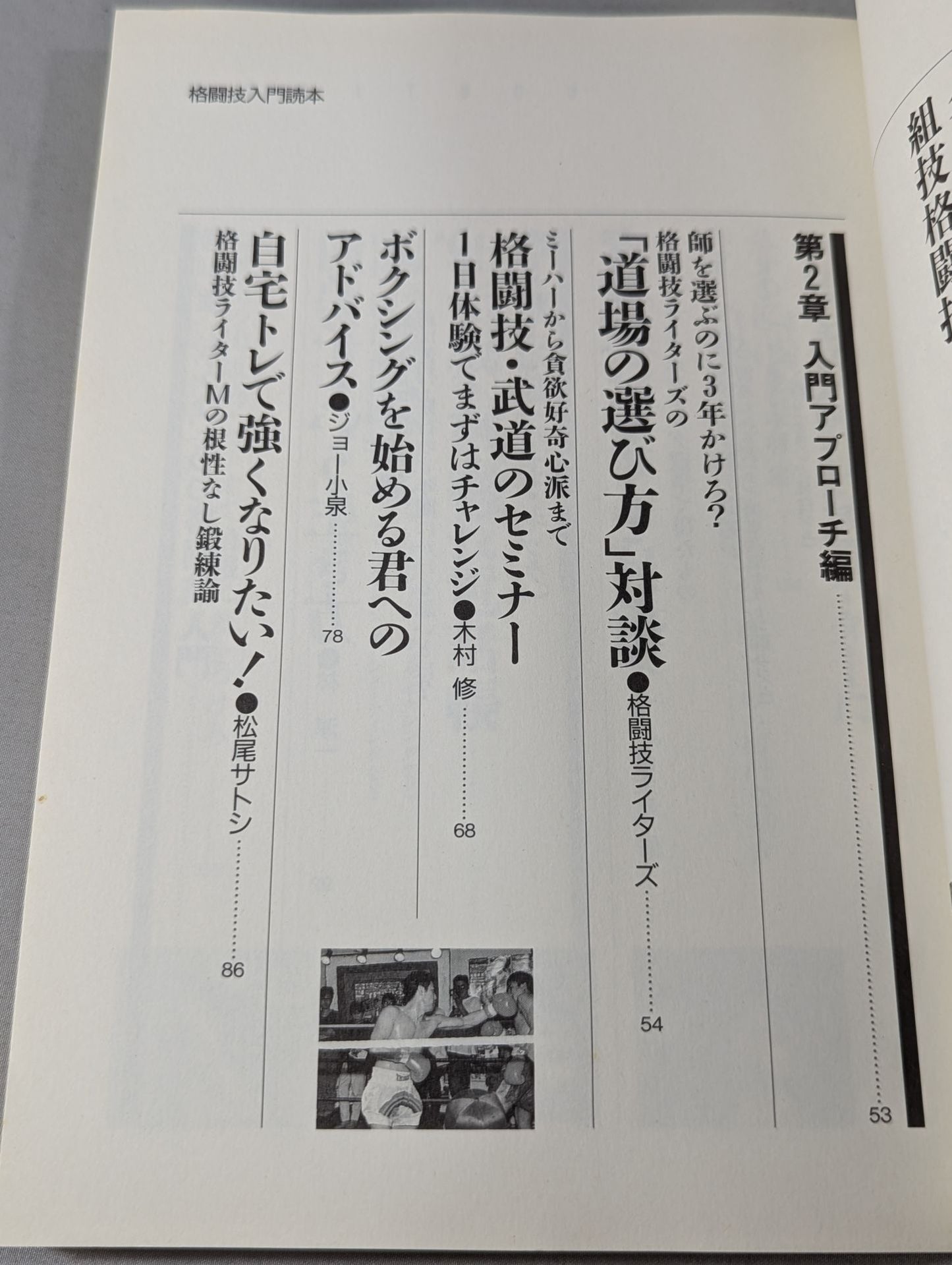 Fighting King 1 Martial Arts Introductory Reader