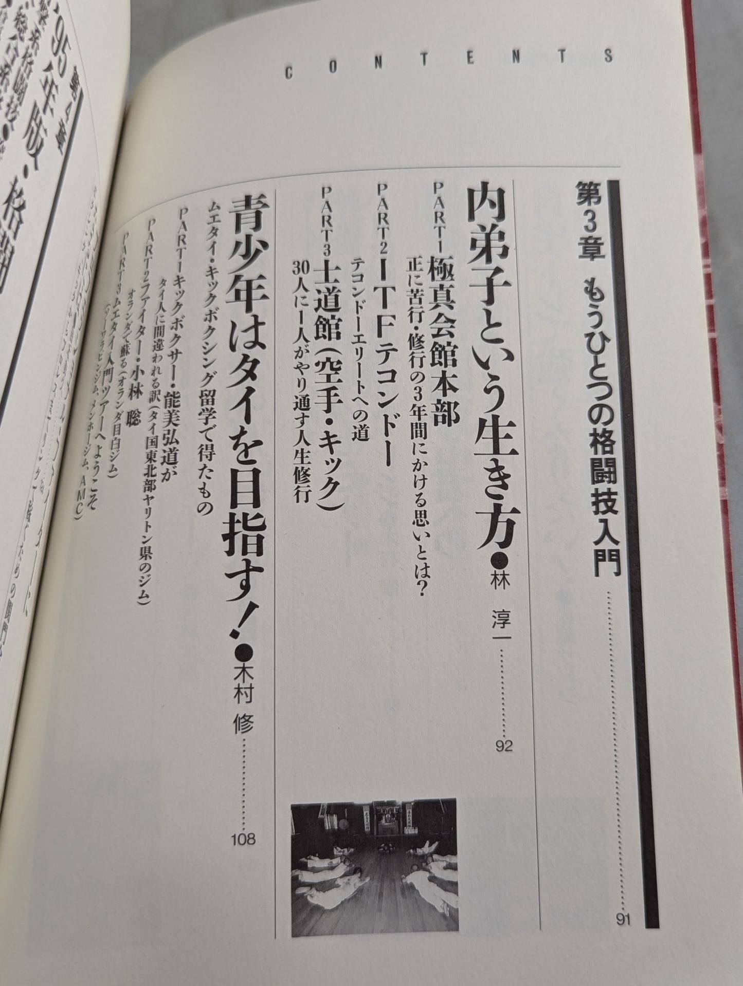 Fighting King 1 Martial Arts Introductory Reader