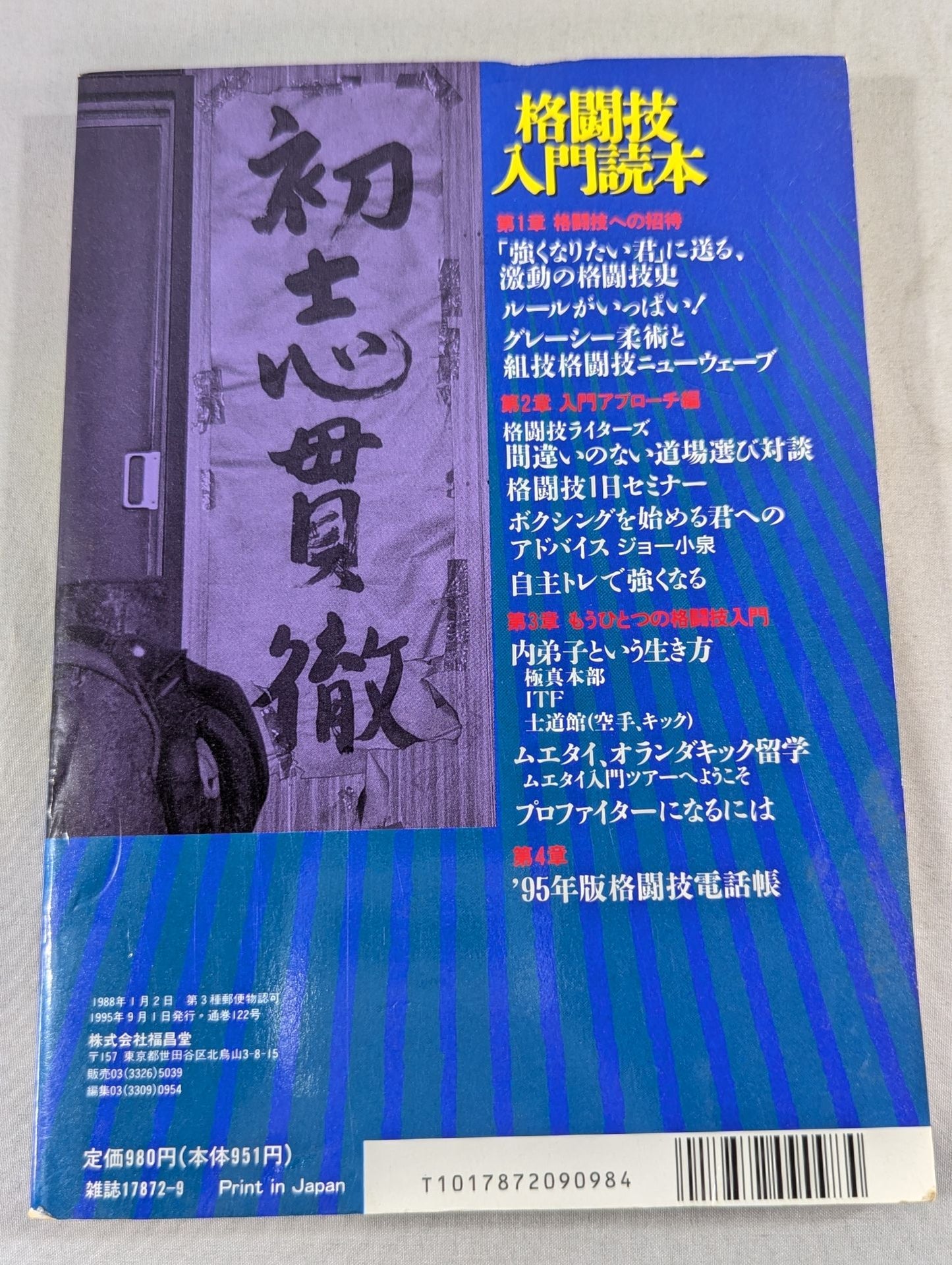 Fighting King 1 Martial Arts Introductory Reader
