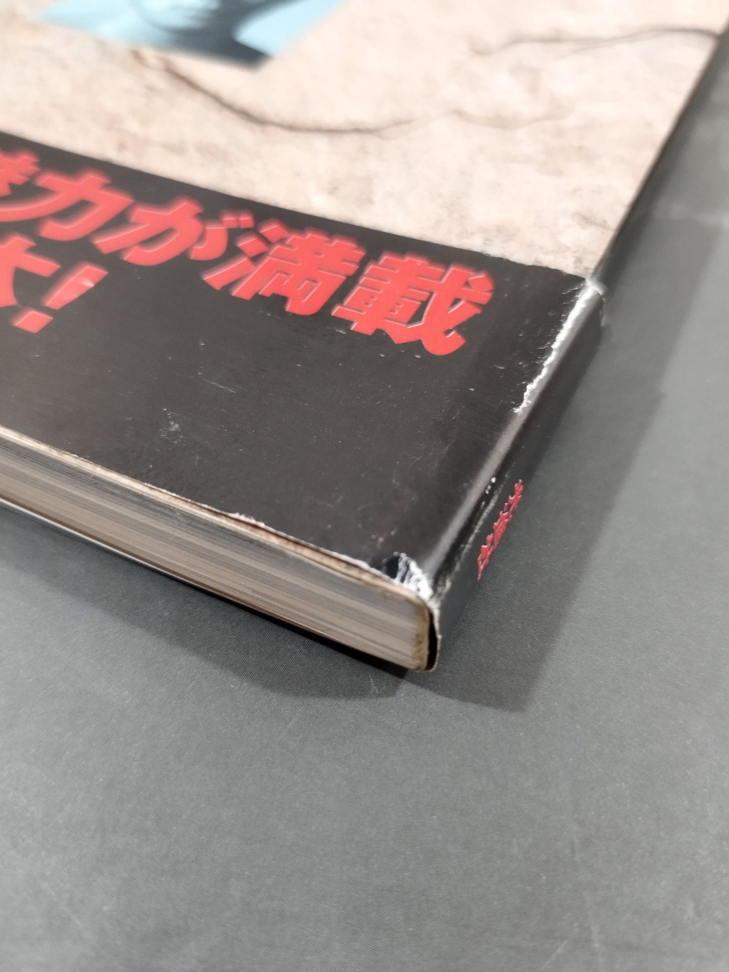 修斗オフィシャルブック
