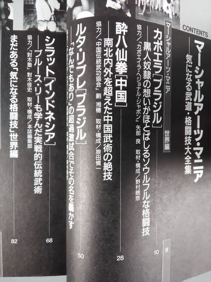 格闘王15 マーシャルアーツ・マニア