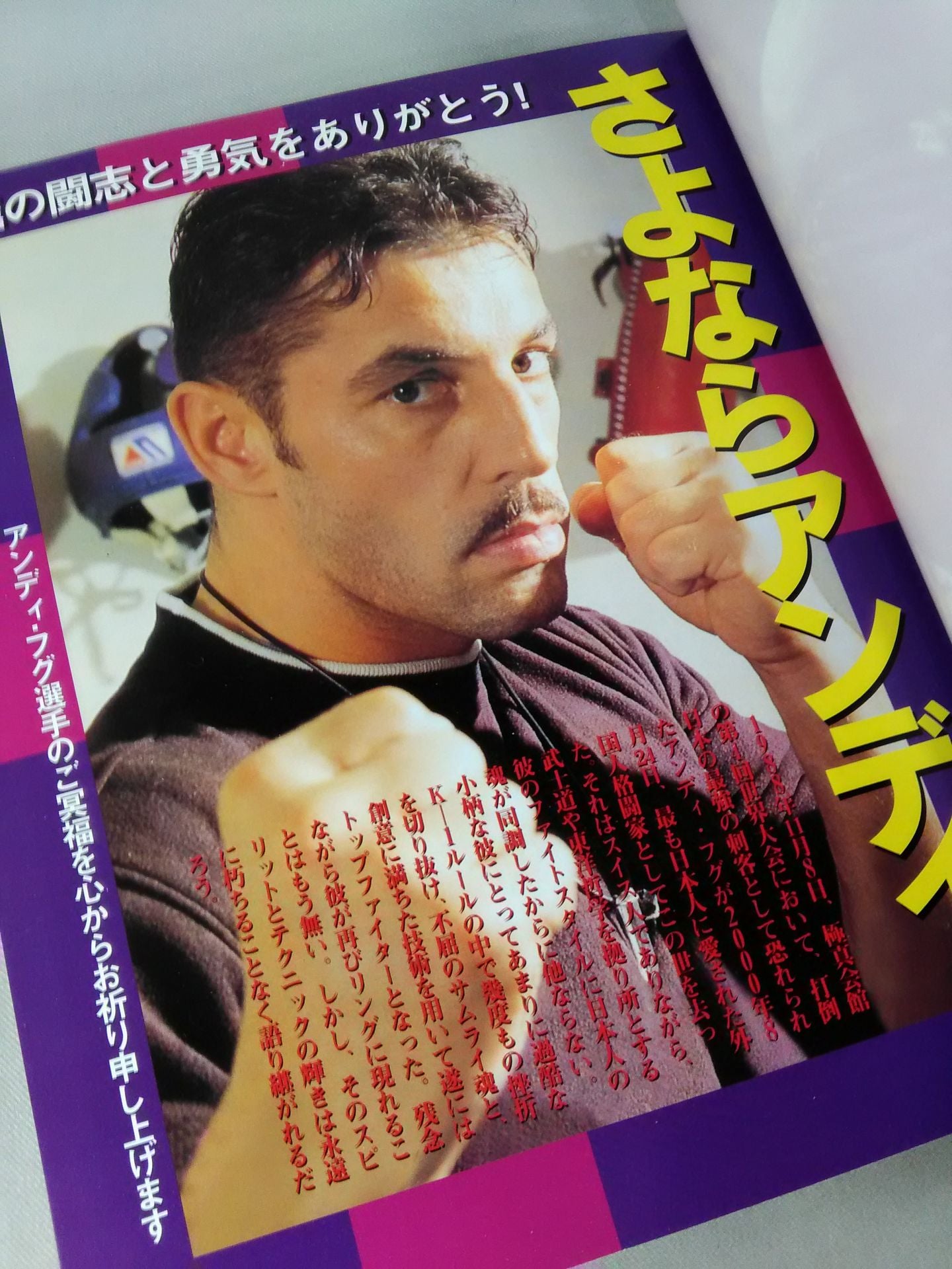 ミスターK-1・鉄人 アンディ・フグ スーパーテクニック アンディ