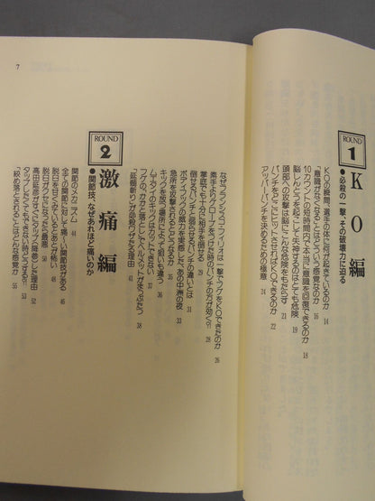 格闘技を知的に観る方法