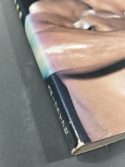 藤原敏男写真集 闘(たたかい)