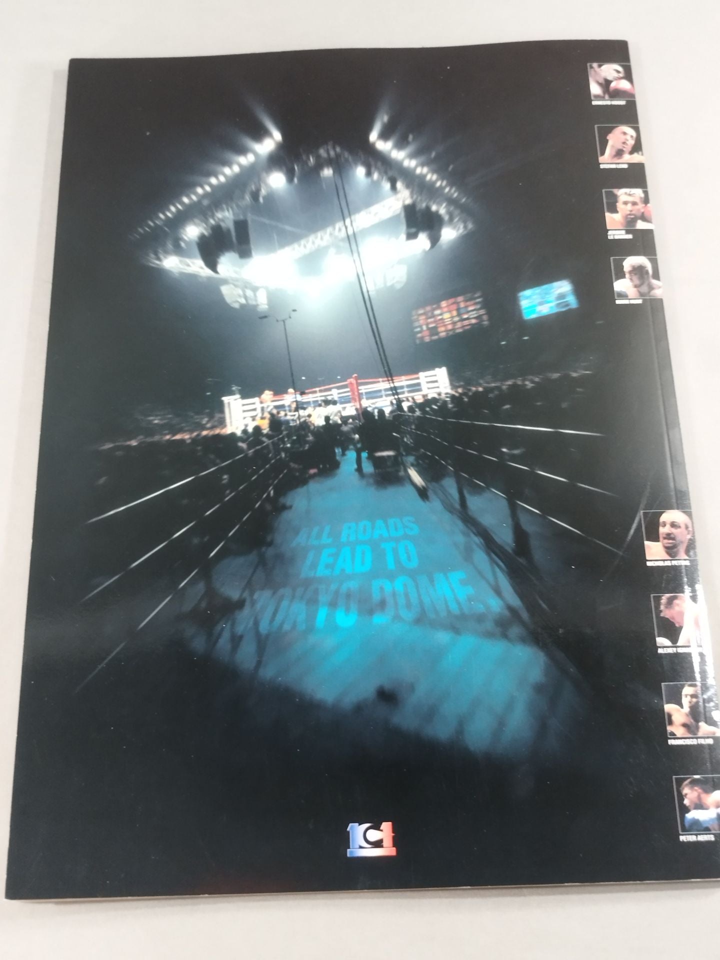 K-1 WORLD GRANDPRIX 2001 決勝戦