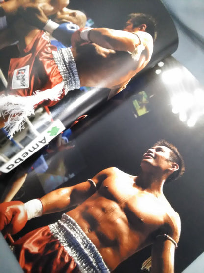 K-1 WORLD MAX 2007 ~World Championship Finals~