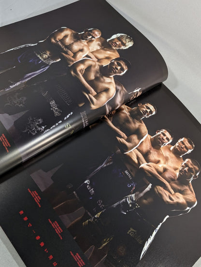 K-1 WORLD GP 2007 FINAL