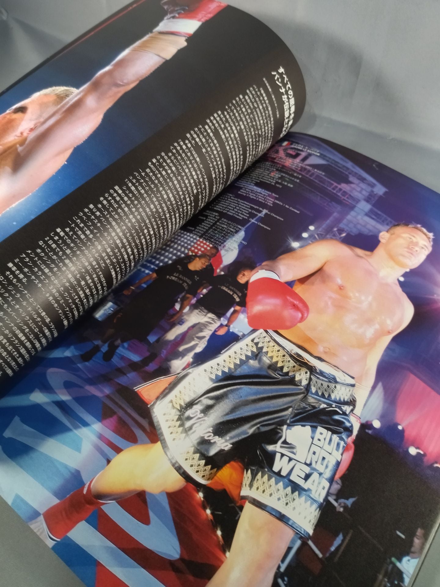 K-1 WORLD GP 2006 IN TOKYO 決勝戦