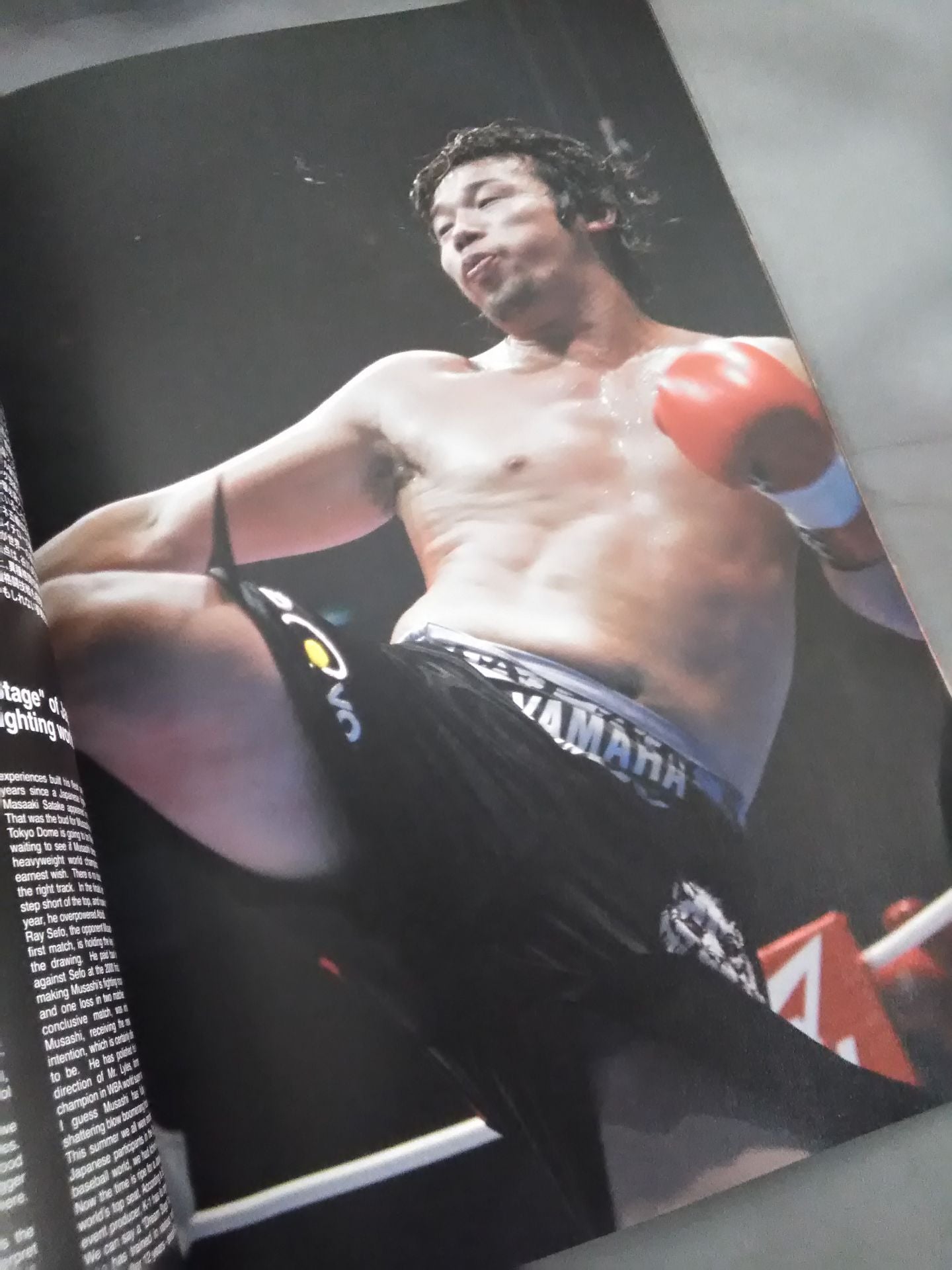 K-1 WORLD GP 2004 FINAL IN TOKYO