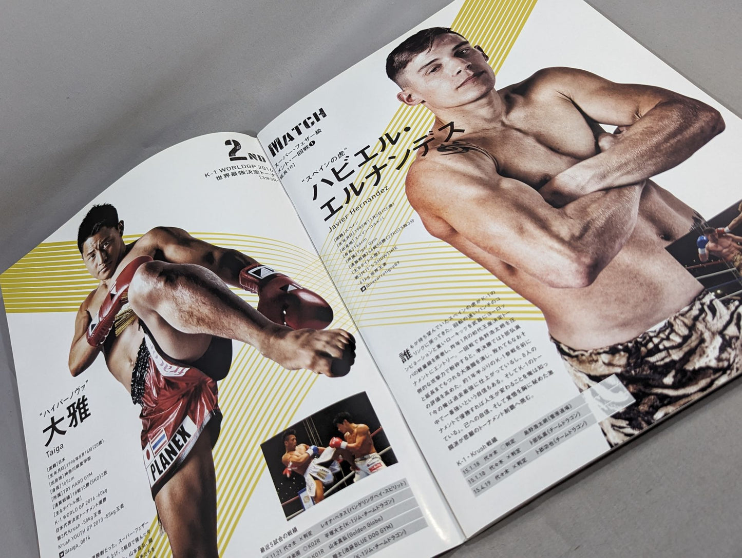 K-1 WORLD GP IN JAPAN スーパー・フェザー級世界最強決定トーナメント