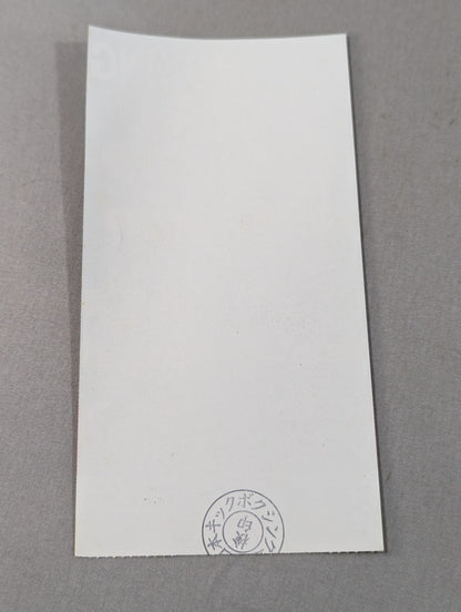 【With ticket stub 】Japan Kickboxing Federation '99 Leap Forward Series Final