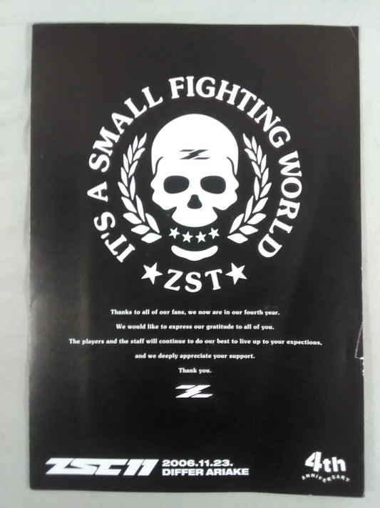 ZST ITS A SMALL FIGHTING WORLD