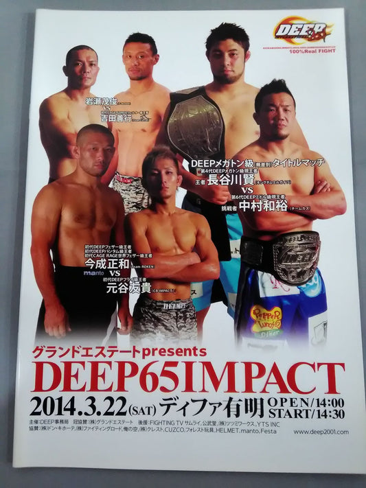 DEEP65 IMPACT