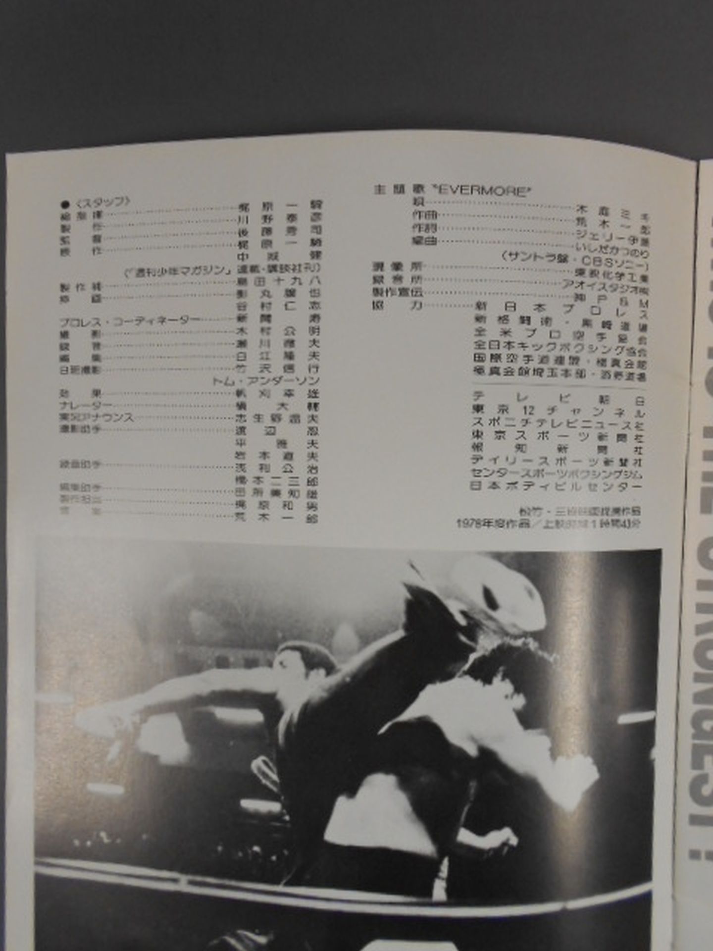 格闘技世界一 四角いジャングル