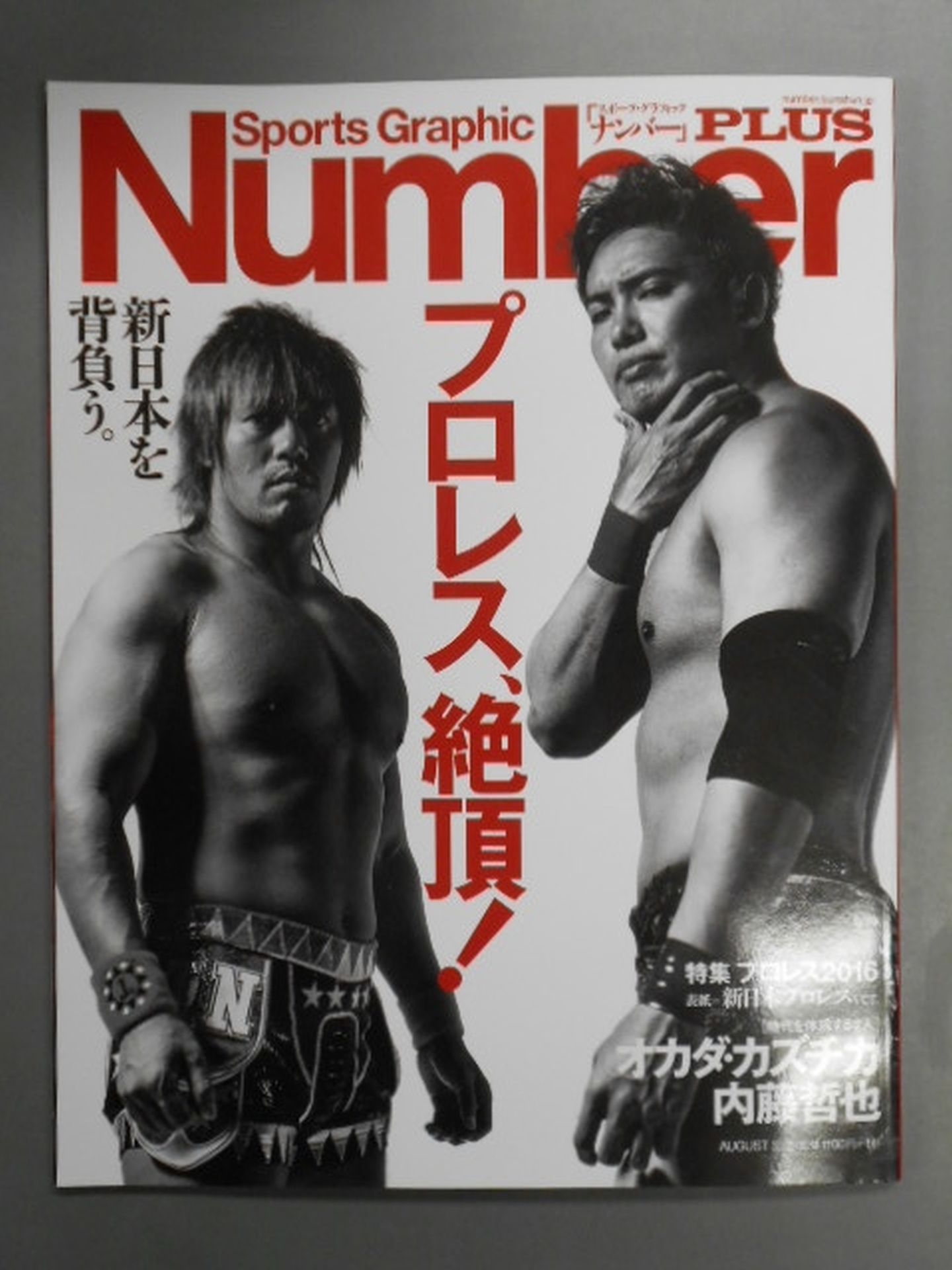 NumberPLUS Pro Wrestling 2016 [Cover = New Japan Pro Wrestling Edition]