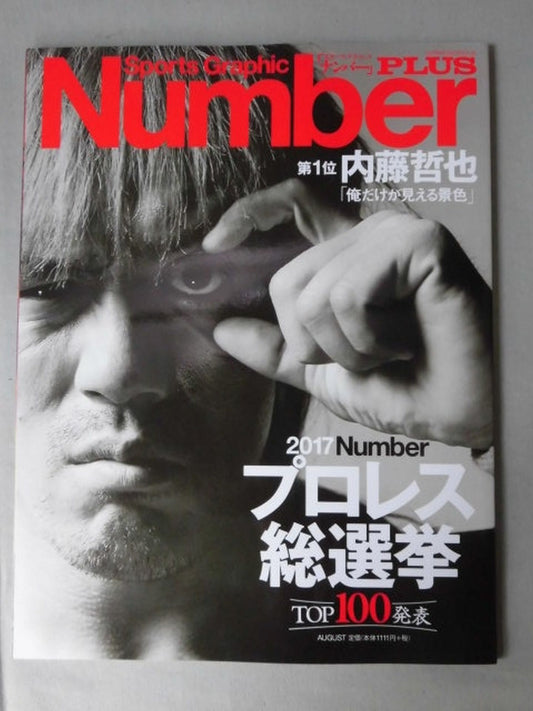 NumberPLUS Pro Wrestling  General Election 2017