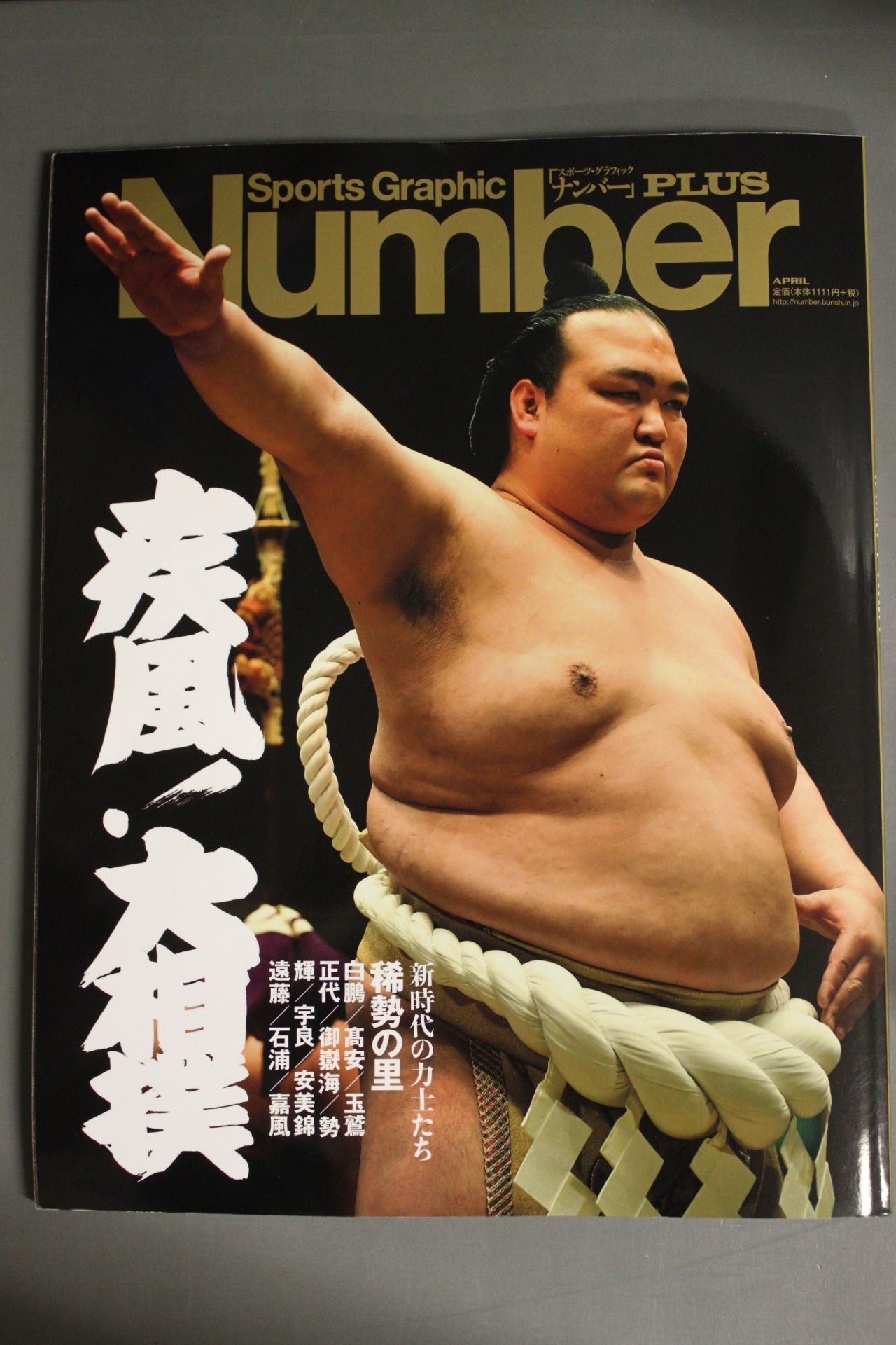 NumberPLUS 疾風! 大相撲 新時代の力士たち