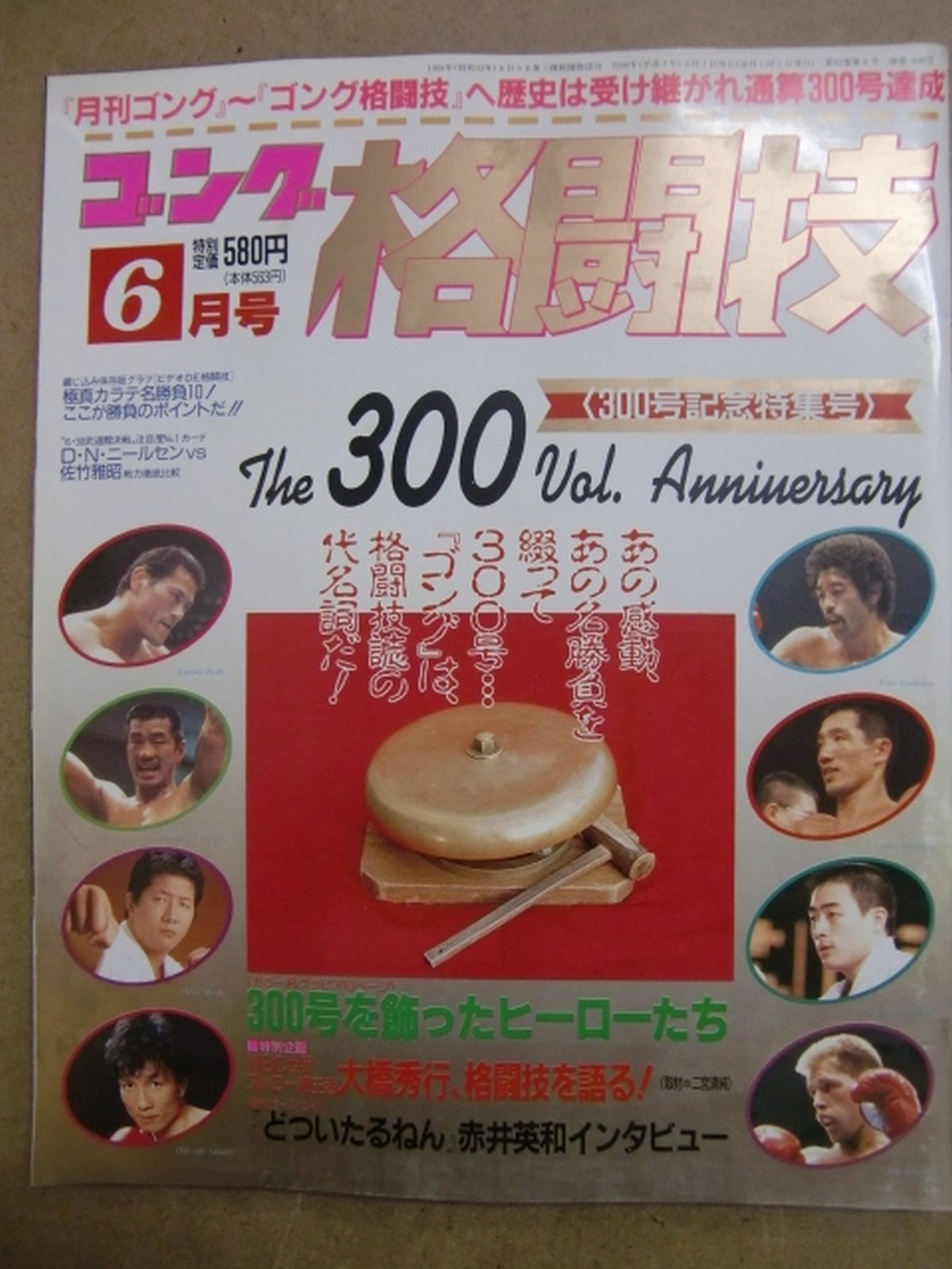 Gong Martial Arts 300