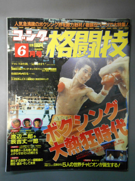 Gong Martial Arts 312