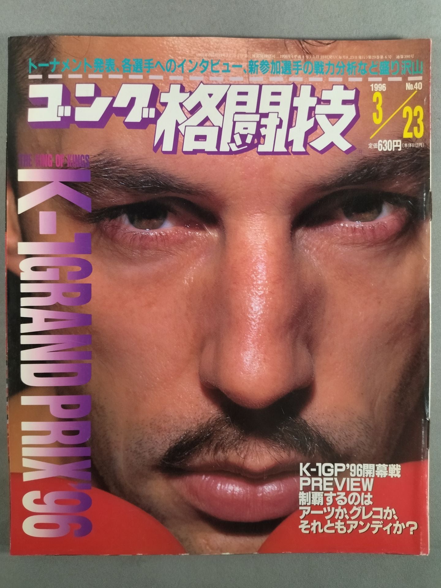 ゴング格闘技390
