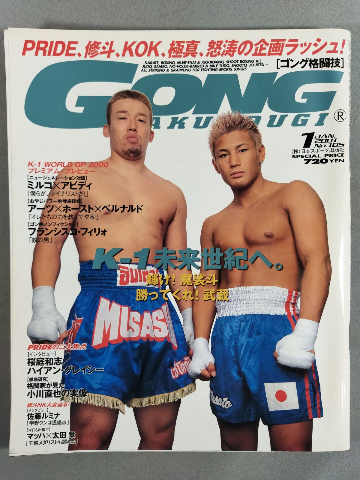 Gong Martial Arts 455