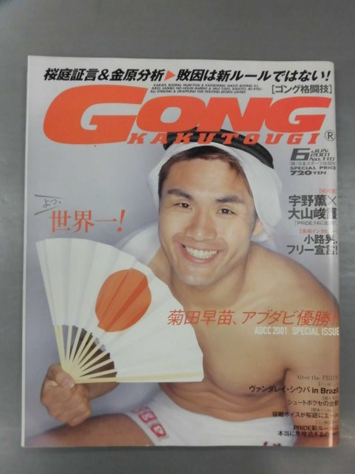 ゴング格闘技460