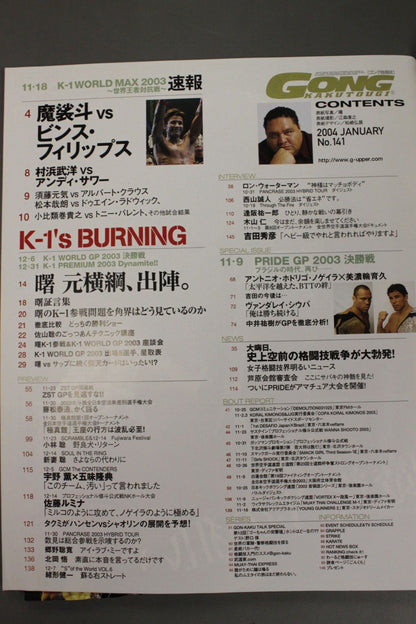 ゴング格闘技491