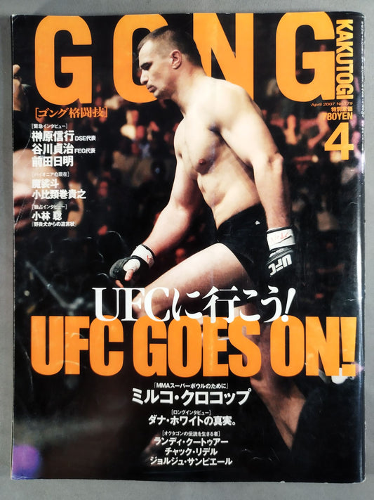 Gong Martial Arts 529