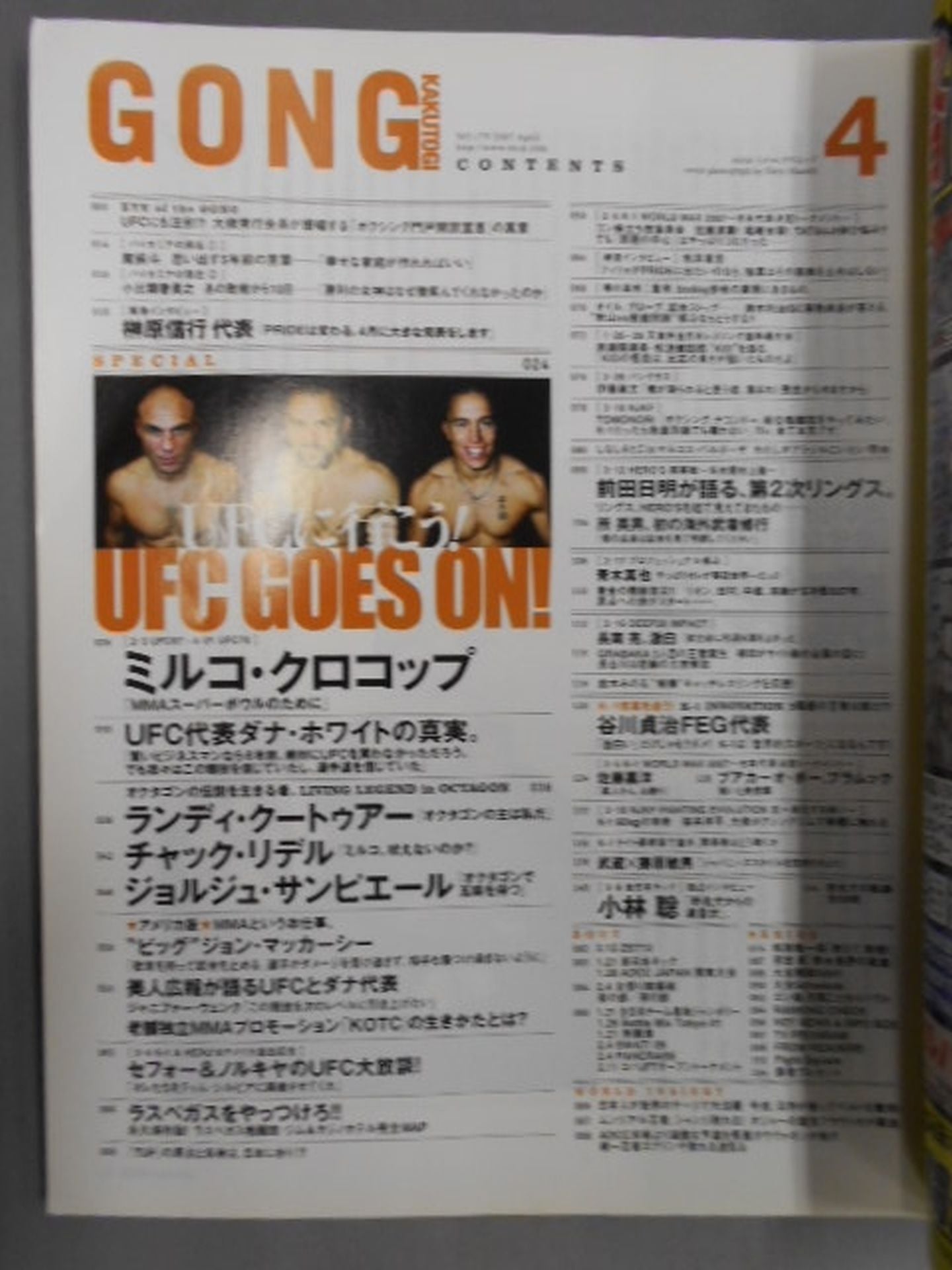 Gong Martial Arts 529
