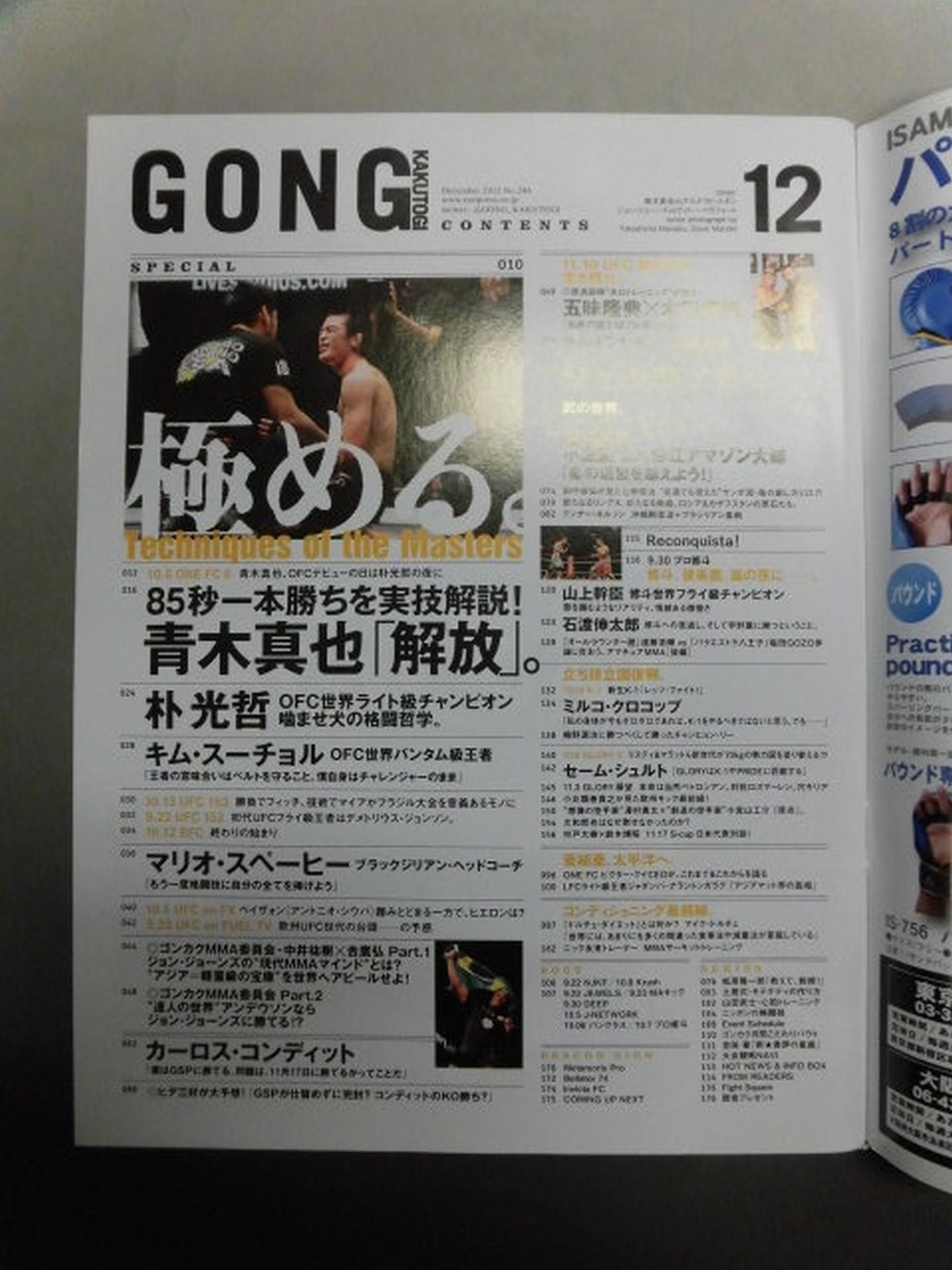 Gong Martial Arts No.246