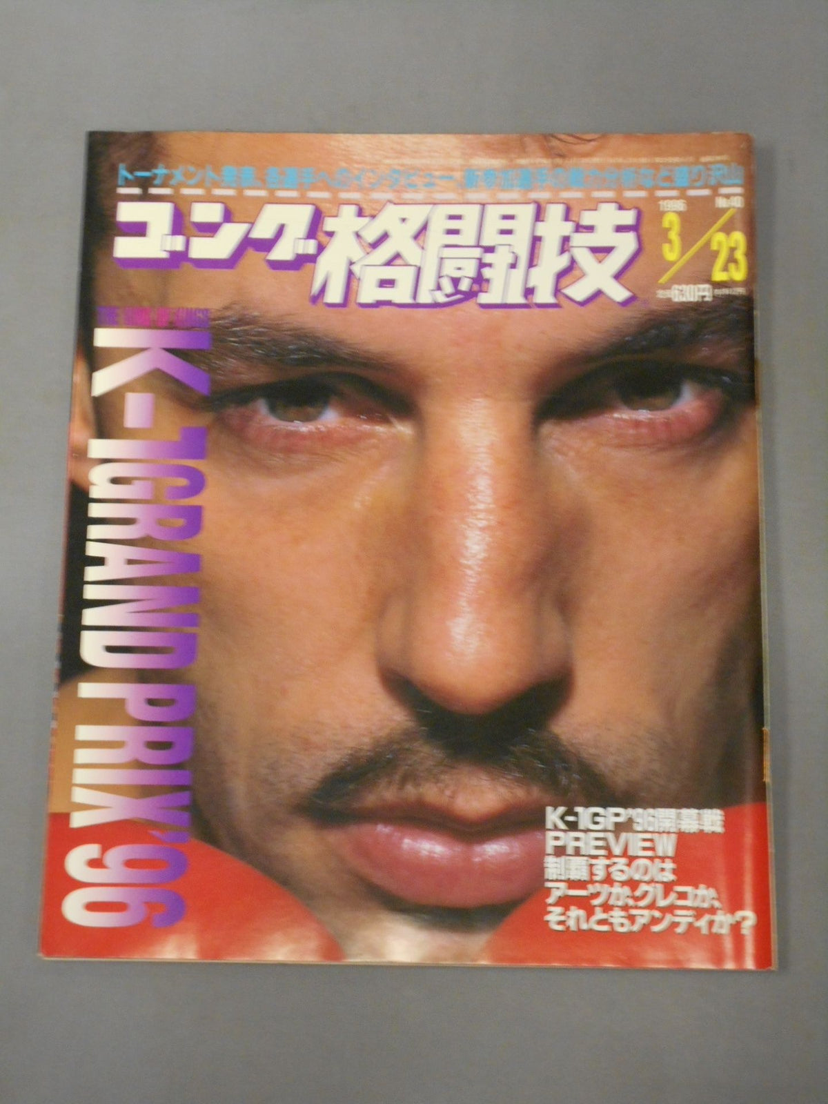 ゴング格闘技390