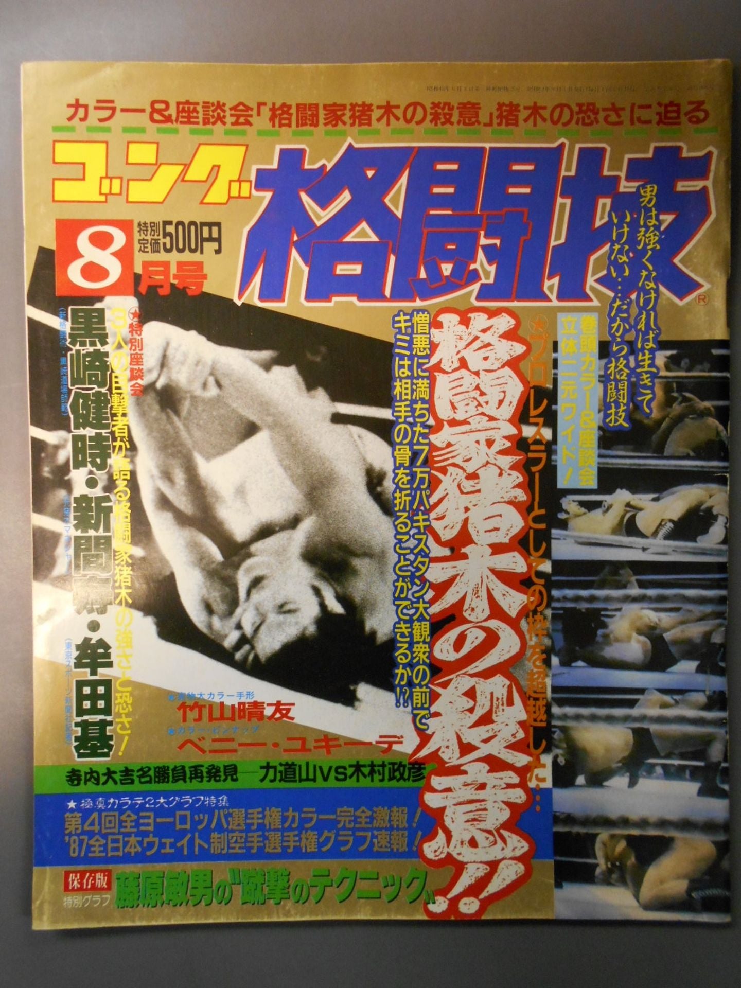 Gong Martial Arts 266