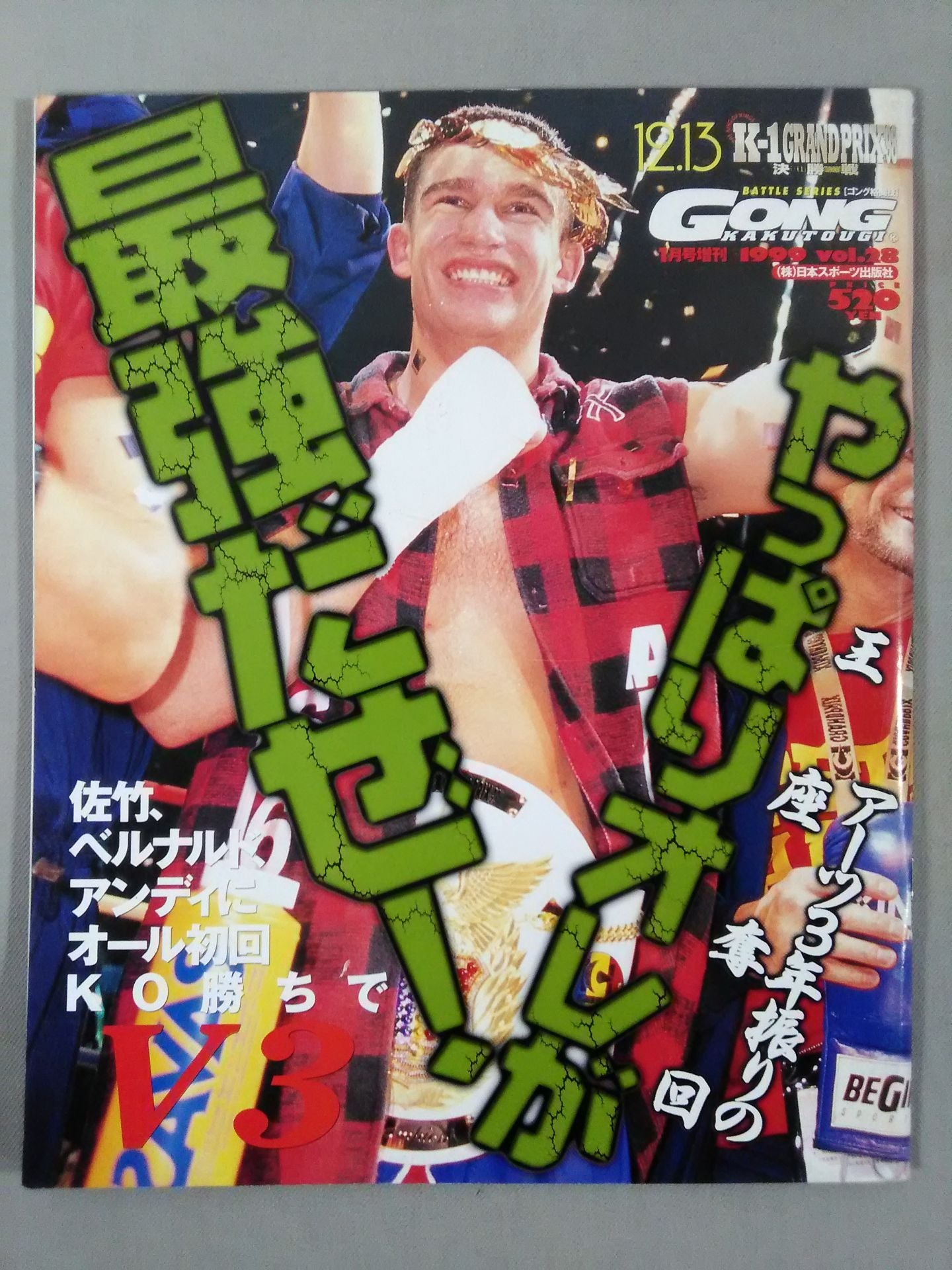 ゴング格闘技 1月号増刊Vol.28