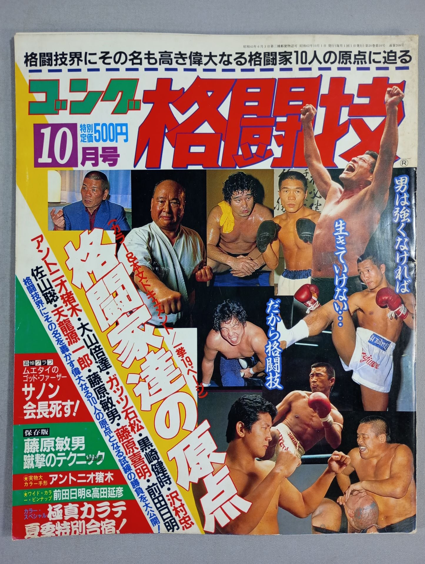 Gong Martial Arts 268
