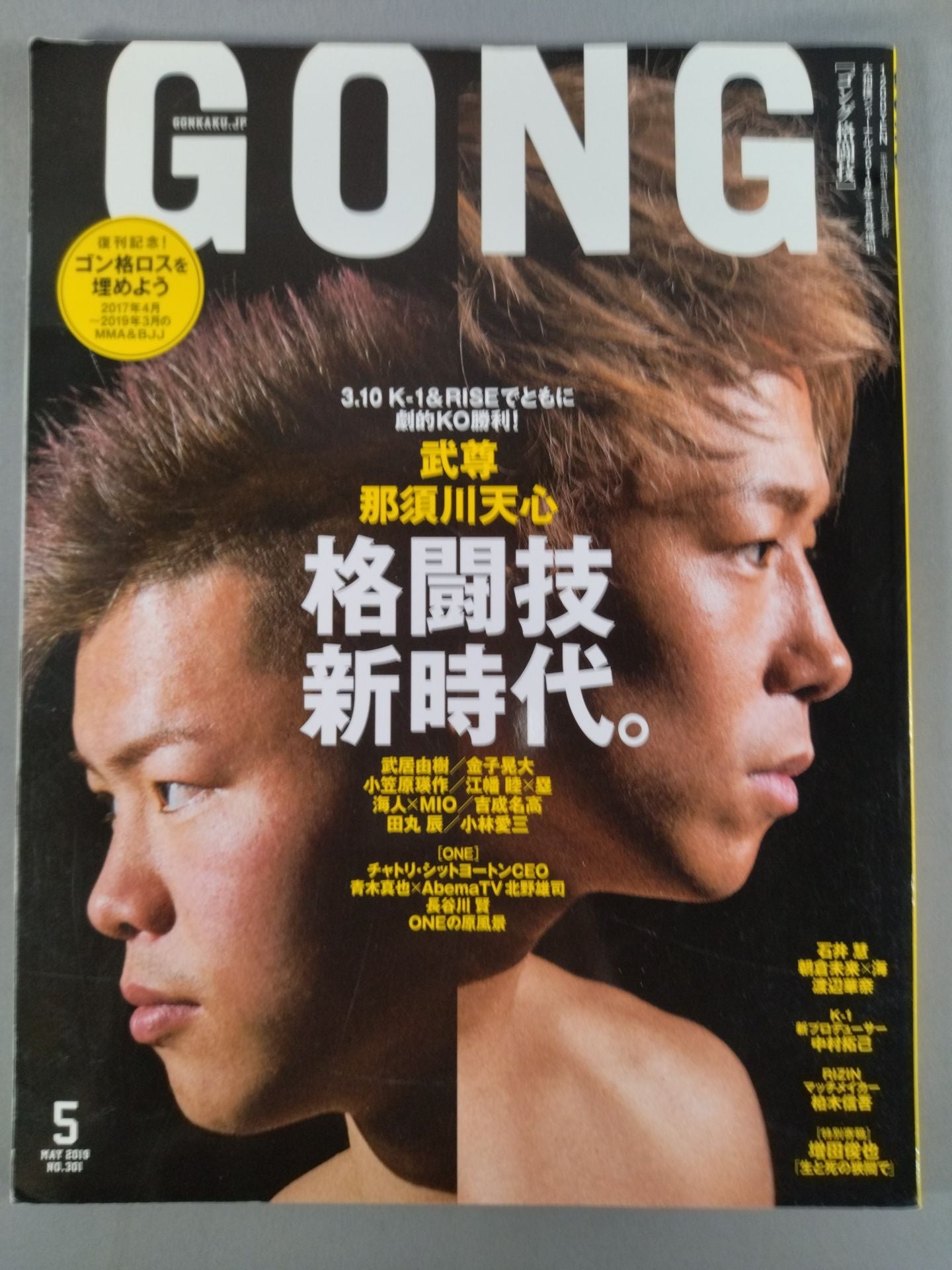 Gong Martial Arts No.301