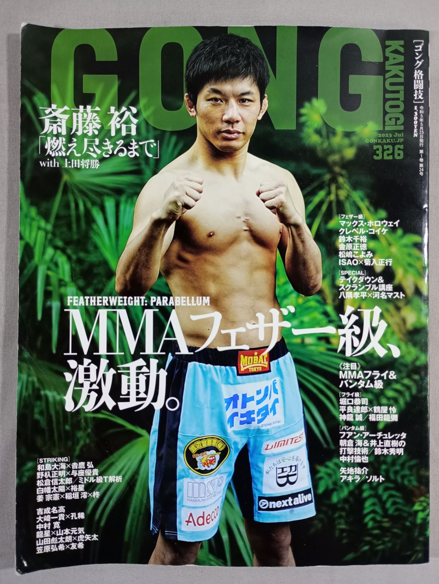 ゴング格闘技No.326