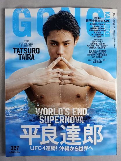 Gong Martial Arts No.327