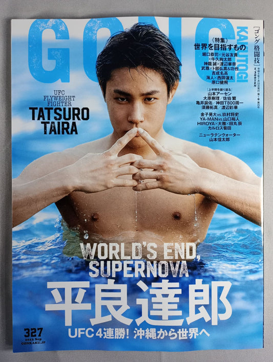 Gong Martial Arts No.327