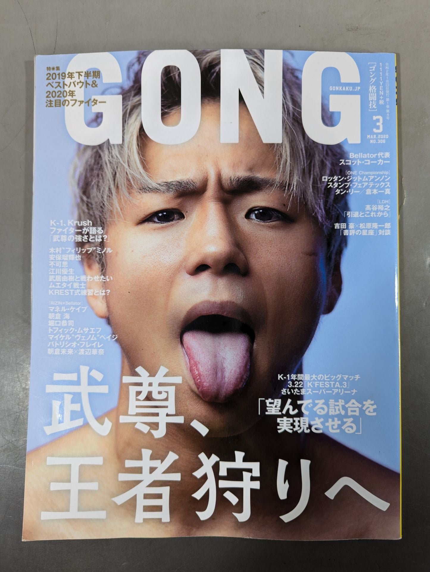 Gong Martial Arts No.306