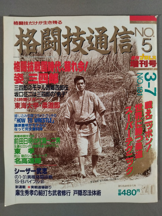 格闘技通信5(週刊プロレス191)