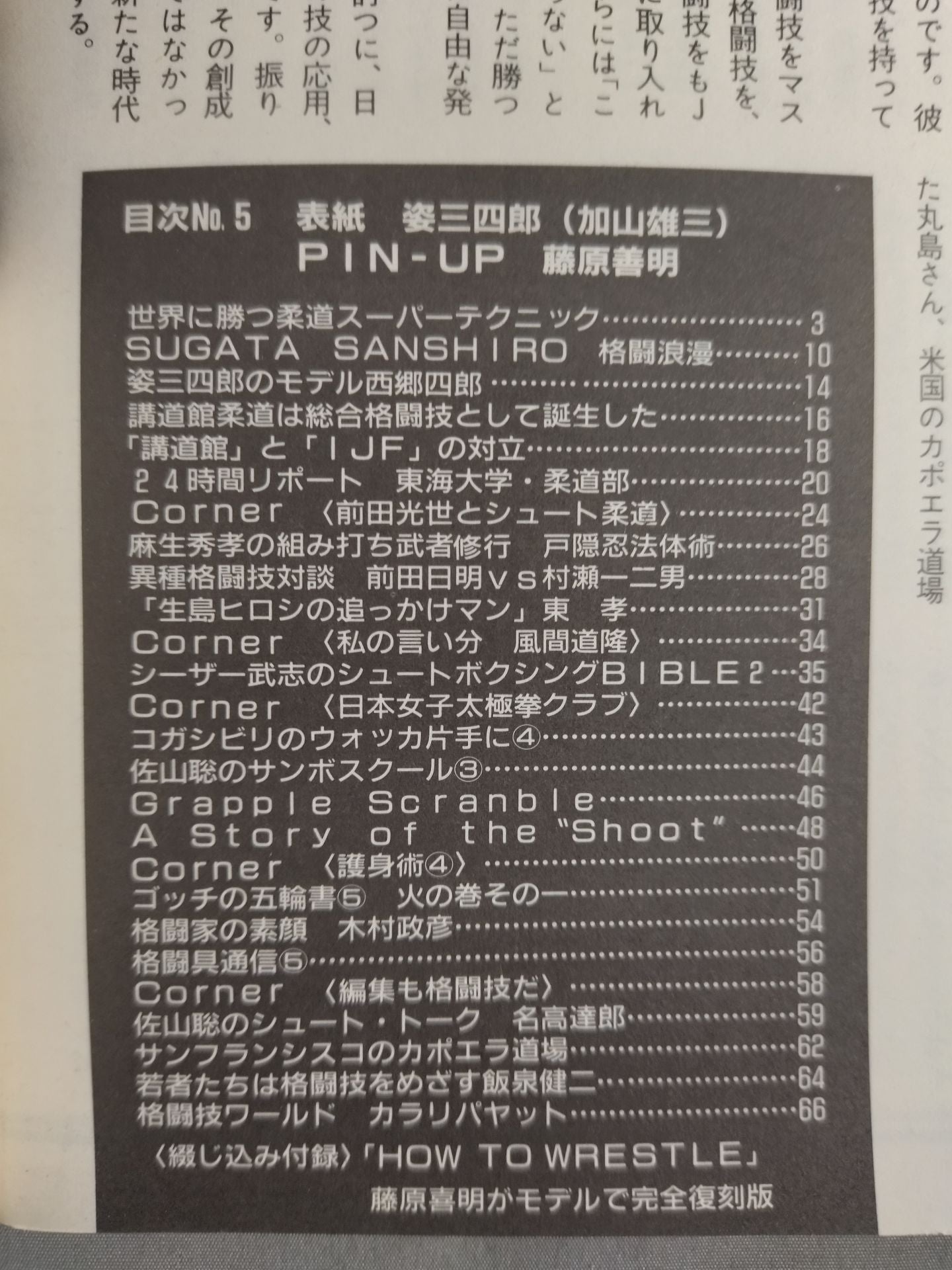 格闘技通信5(週刊プロレス191)