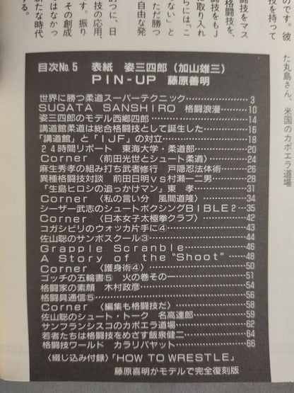 格闘技通信5(週刊プロレス191)